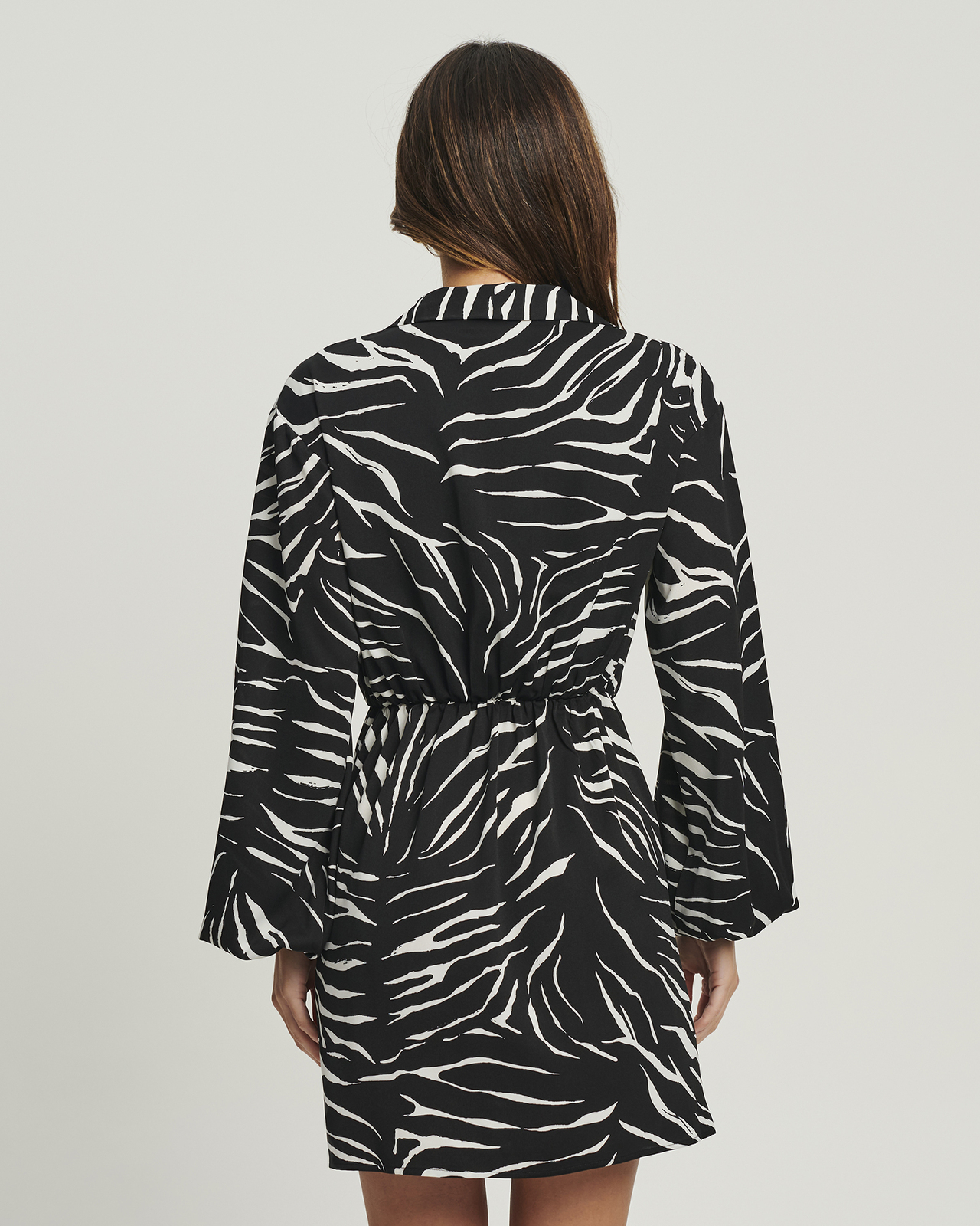 Vanessa Mini Dress