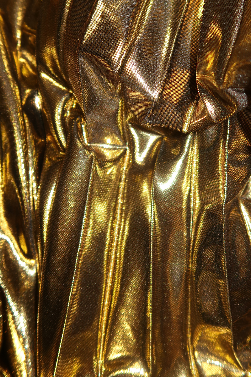 GEORGIA HARDINGE THE GOLD FOSSIL MAXI DRESS