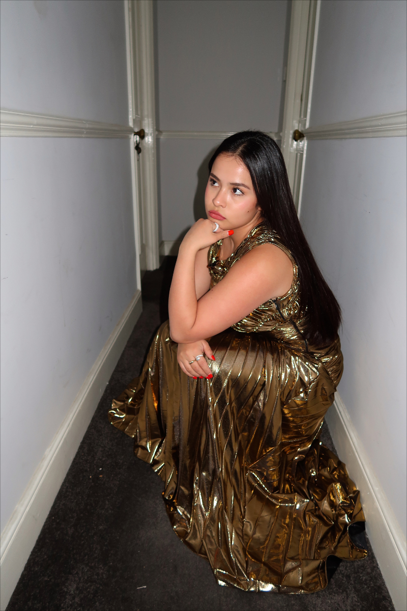 GEORGIA HARDINGE THE GOLD FOSSIL MAXI DRESS - AirRobe GEORGIA HARDINGE THE GOLD FOSSIL MAXI DRESS - AirRobe