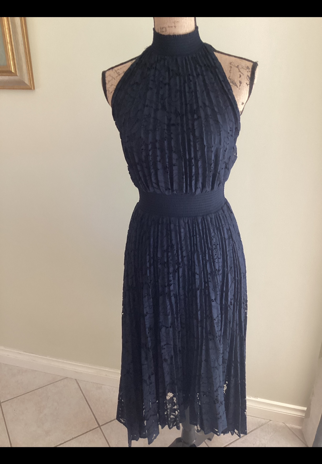 Pleated Lace Dress